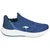 Kangaroos K-RDM Rouny
