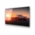 Wallity Slika UV-369, 50 x 70 cm