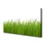 tulup.si Slika na platnu Grass nature rastlin 125x50 cm