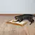 Grebalica za mace Scratching Mat