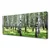 tulup.si Slika na platnu Forest grass nature rastlin 120x60 cm