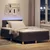 Vidaxl LED Box Spring Postelja Temno rjava 120 x 200 cm blago