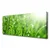tulup.si Slika na platnu Narava grass drops 120x60 cm