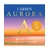 Struna A Larsen Aurora violina 1/8 medium 631.274