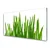 tulup.si Steklena slika Grass on wall 140x70 cm 2 obešalnika