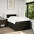 vidaXL vidaXL Box spring postelja z vzmetnico črna 120x190 cm blago, (21321349)