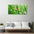 tulup.si Slika na steklu Pikapolonica grass drops 125x50 cm 2 obešalnika
