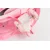 Guralica Sa Svetlećim Točkovima Pink WB-8098A