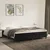 Vidaxl Box spring postelja z vzmetnico črna 200x200 cm žamet