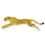 Safari Bežiaci gepard