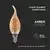 LED Sijalica FILAMENT E14/4W/230V 2200K