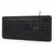 GEMBIRD Tastatura KB-UML-03 Rainbow US layout crna
