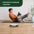 iROBOT Robot usisivač Roomba Combo Essential, Beli