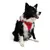 Paws & Whiskers Am za pse Air-Mesh, Crveni