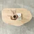 HANAH HOME Sto za dnevnu sobu Nova Sapphire Oak