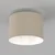 Plafonsko svetlo ARDEN 1xE27/15W/230V, prečnik 25 cm, bež