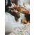 Decormat PVC preproga Cvetje 120x180 cm