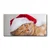 tulup.si Steklena slika Cat Cap Santa Claus 120x60 cm