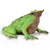 COLLECTA Collecta Komplet figuric insektov, figurice živali 3+