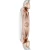 Emporio Armani Donna AR11223