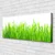 tulup.si Slika na platnu Grass nature rastlin 120x60 cm