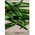 NEW Aloe Soothing Sheet Mask 18 ML