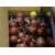SuperFeed Pure 18mm/1kg Fish&Robin Red boilies