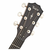 TAYLOR 324ce V-CLASS