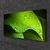 tulup.si Slika na platnu Dew drops leaf 100x50 cm