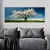 WallXpert slika na platnu YTY1233464, rascvetalo belo drvo na livadi pod plavim nebom, 30 x 80 cm
