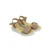 Donna Serena DS2616 1H5996DM TORTORA