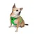 Paws & Whiskers Am za pse Air-Mesh, Zeleni