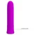 MINI VIBRATOR Pretty Love Curtis Purple