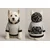 Paws & Whiskers Odelo za pse Graysoldiersweat, Sivo
