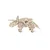Rayher. Lesena 3D sestavljanka Dinozaver Triceratops