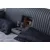 HANAH HOME Bračni krevet Sunshine Smart Black