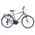 Capriolo Roadster Tour Man 28