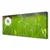 tulup.si Slika na platnu Dandelion grass rastlin 120x60 cm