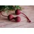 Lola games Vaginalne kuglice Set for Easy and Medium Level Love Story Carmen Wine Red