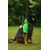 Paws & Whiskers Odelo za pse Applesweat, Zeleno