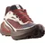Salomon Genesis 2