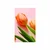 Plakat s paspartujem elegantni tulipan - 30x45 black