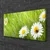 tulup.si Slika na platnu Grass daisies narava 100x50 cm