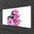 tulup.si Slika na platnu Beautiful flower stones 100x50 cm