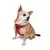 Paws & Whiskers Am za pse Air-Mesh, Crveni