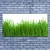 tulup.si Slika na platnu Grass nature rastlin 140x70 cm