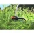 Black & Decker Trimer Gl9035,900 W, 35 Cm