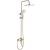 Komplet za prhanje REA ARGUS GOLD BRUSH