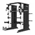 Tunturi Platinum Full Smith/Functional Trainer