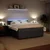 Vidaxl Box spring postelja z vzmetnico temno siva 200x200 cm žamet
